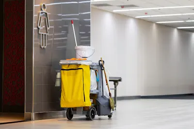 Firma sprzątająca | Paulina Pleń