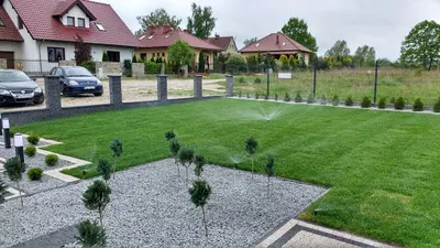 Greenea Sławomir Kaczmarek