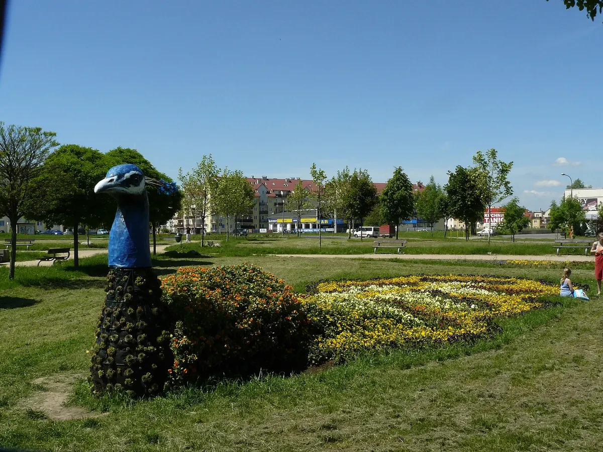 Park Górczyński w Gorzowie – rodzinny odpoczynek na świeżym powietrzu